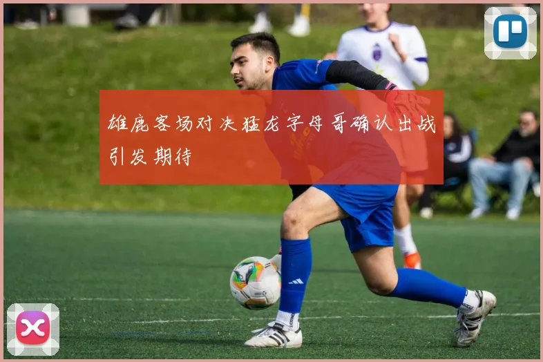 雄鹿客场对决猛龙字母哥确认出战引发期待