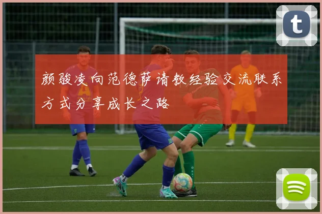 颜骏凌向范德萨请教经验交流联系方式分享成长之路