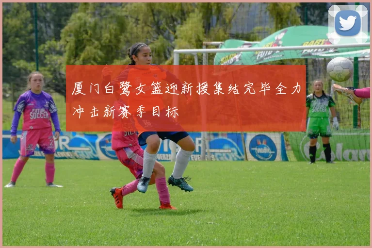 厦门白鹭女篮迎新援集结完毕全力冲击新赛季目标